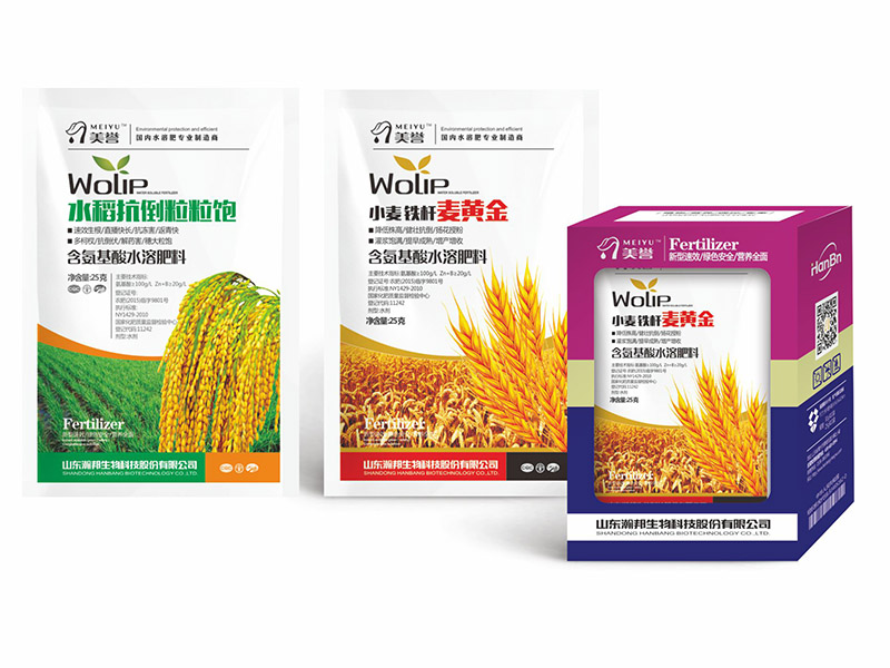 水稻扛倒粒粒飽